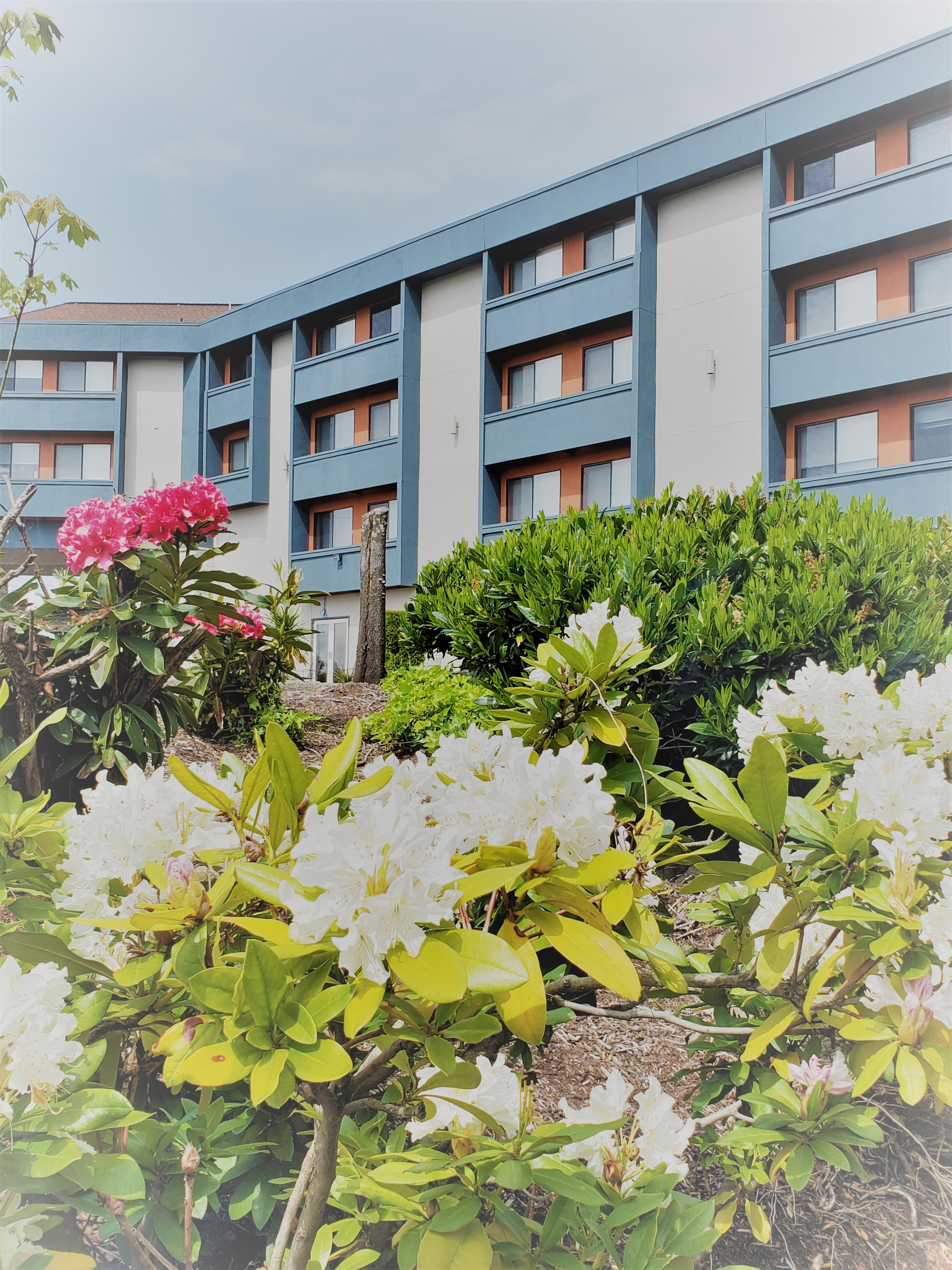 Best Western Plus Renton Inn Екстер'єр фото